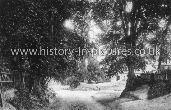 A Country Lane, Terling, Essex. c.1910